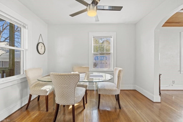 dining area with light hardwood / wood-style floors and ceiling fan