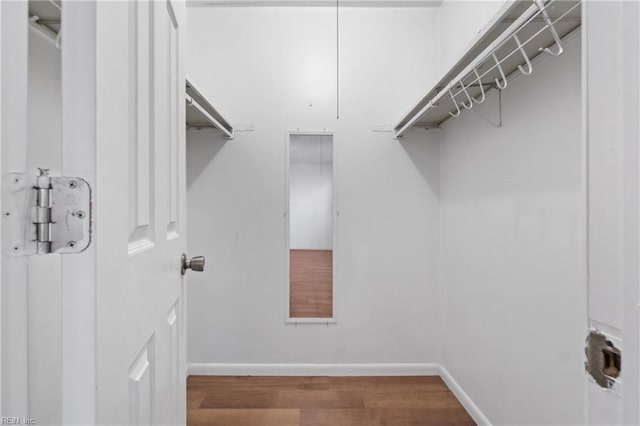 walk in closet featuring wood finished floors