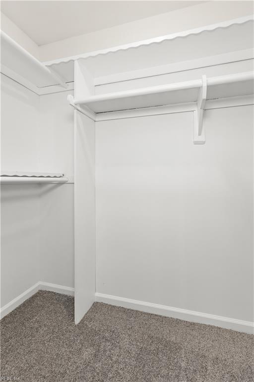 walk in closet with carpet