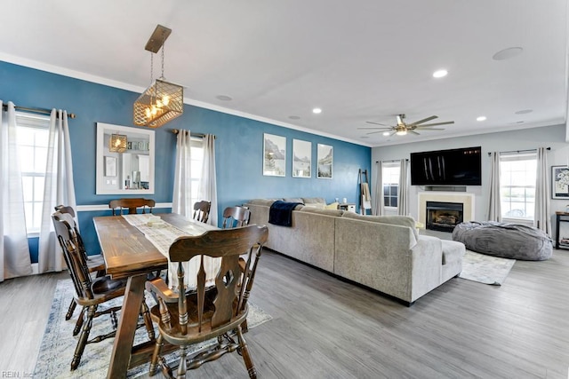 dining area with ceiling fan, crown molding, and hardwood / wood-style floors