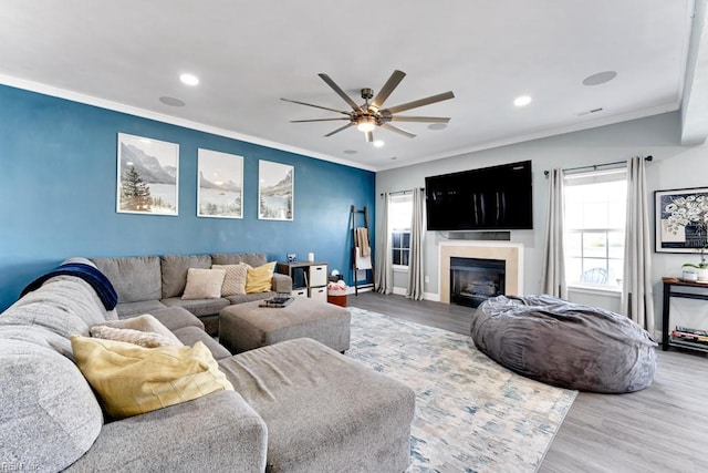 living room featuring ceiling fan, ornamental molding, and wood-type flooring