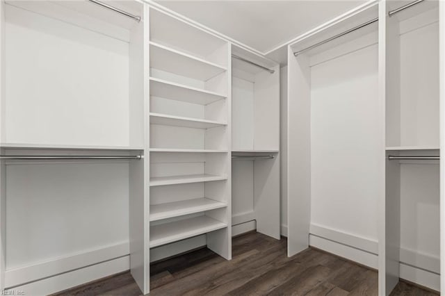 walk in closet featuring dark wood-type flooring