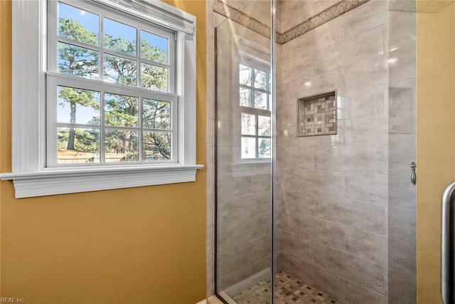 bathroom with a shower with shower door and a healthy amount of sunlight