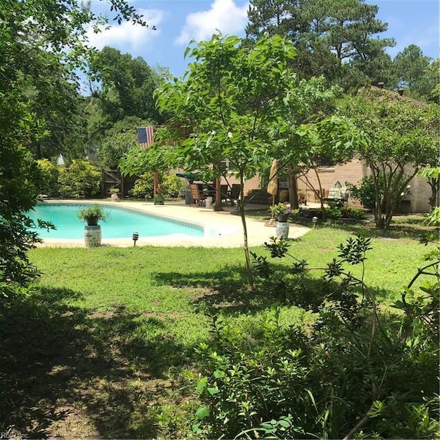 view of swimming pool with a yard and a patio