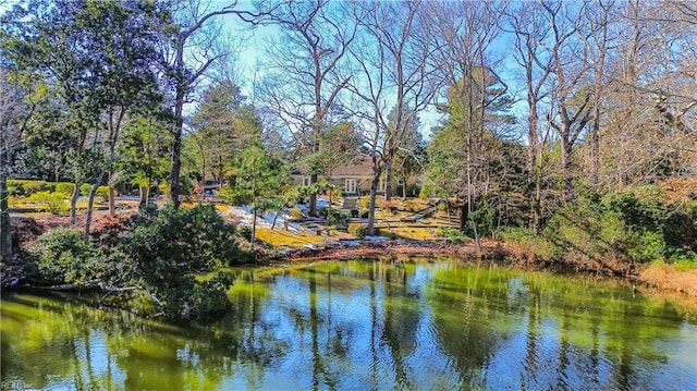 view of water feature