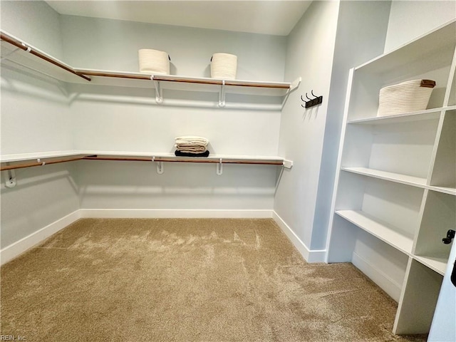 spacious closet featuring light colored carpet