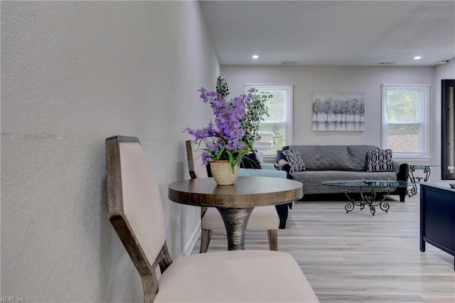 living room featuring light hardwood / wood-style floors and plenty of natural light