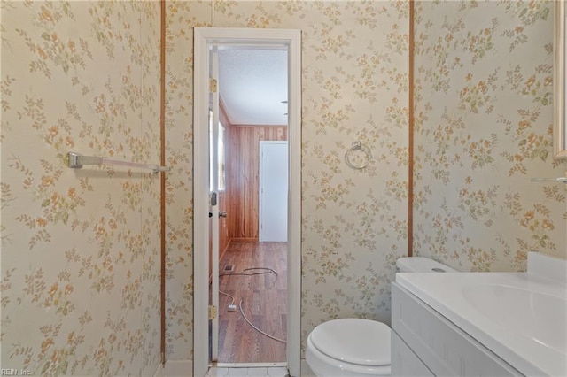 bathroom with toilet and vanity