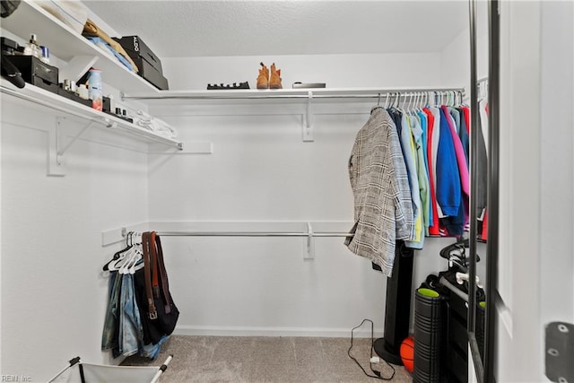 walk in closet with light colored carpet