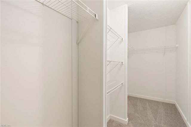 walk in closet featuring light carpet