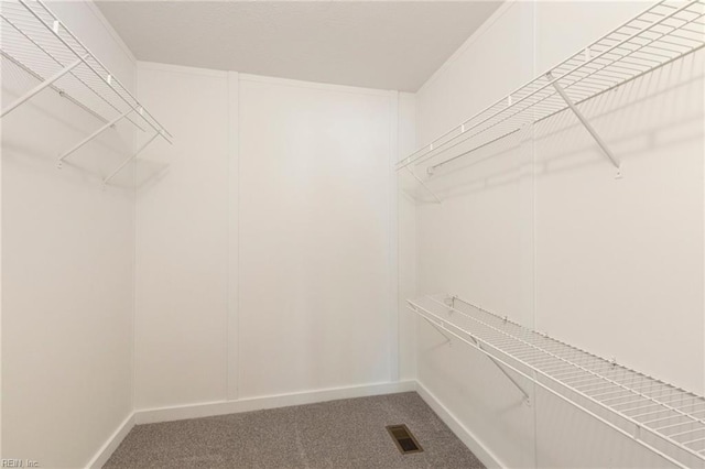 spacious closet with carpet flooring