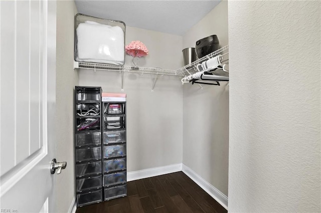 walk in closet with dark hardwood / wood-style flooring