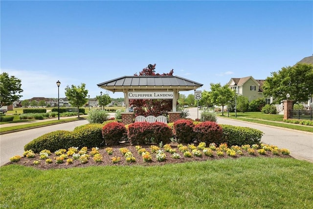 view of community with a yard