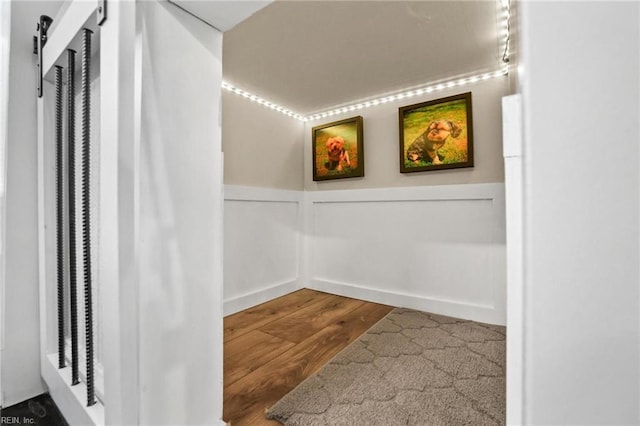 spacious closet featuring a barn door and wood-type flooring