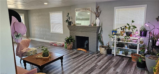 living room featuring a fireplace and hardwood / wood-style floors