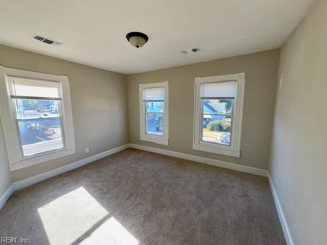 carpeted spare room featuring a wealth of natural light