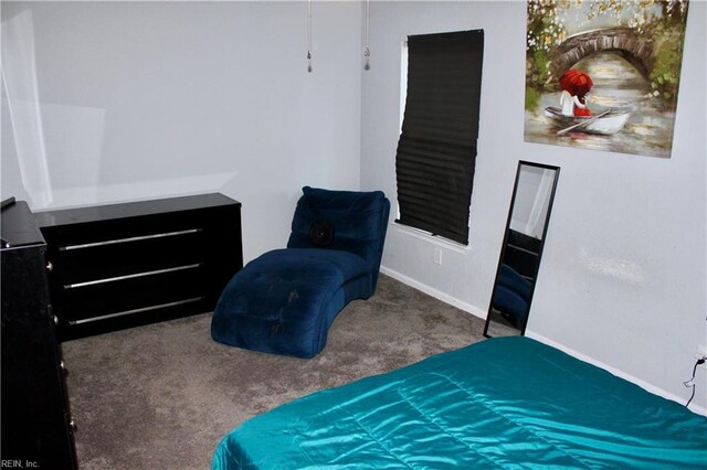 bedroom featuring carpet flooring