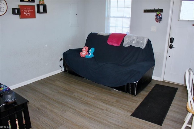 living room featuring electric panel and hardwood / wood-style flooring