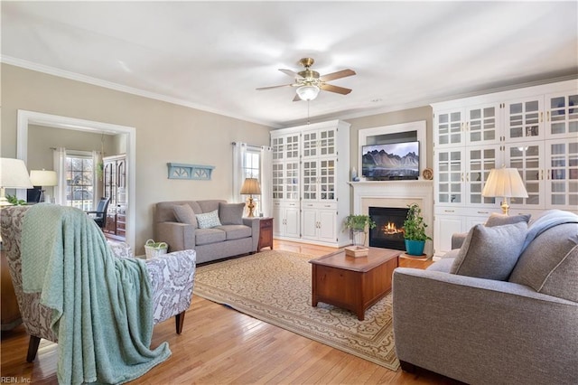 living room with light hardwood / wood-style floors, ceiling fan, and crown molding