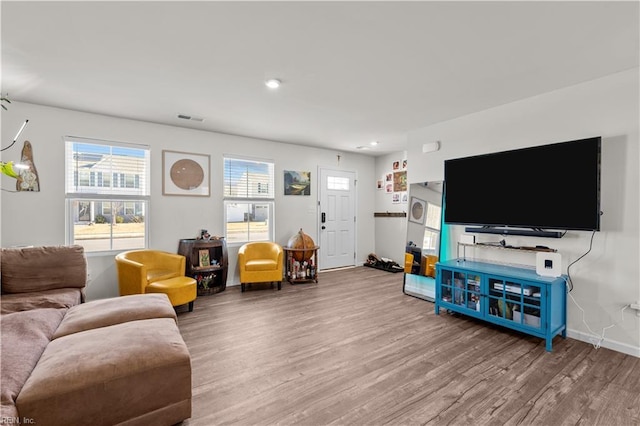 living room featuring wood-type flooring