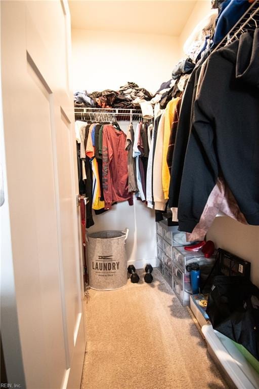 walk in closet featuring carpet