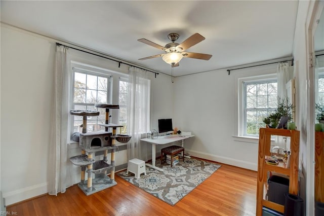 home office with ceiling fan and wood-type flooring