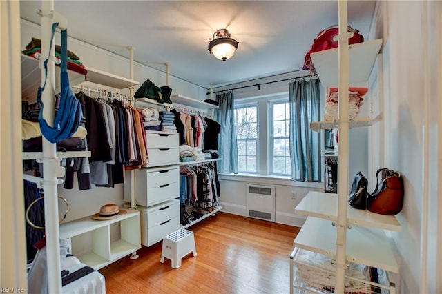 walk in closet featuring radiator heating unit and light hardwood / wood-style flooring