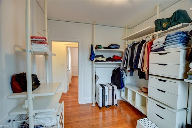 spacious closet with light wood-type flooring