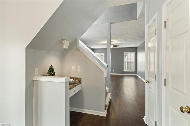 hall with dark hardwood / wood-style floors