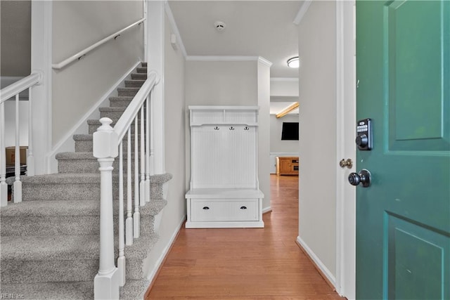 mudroom featuring ornamental molding and hardwood / wood-style floors