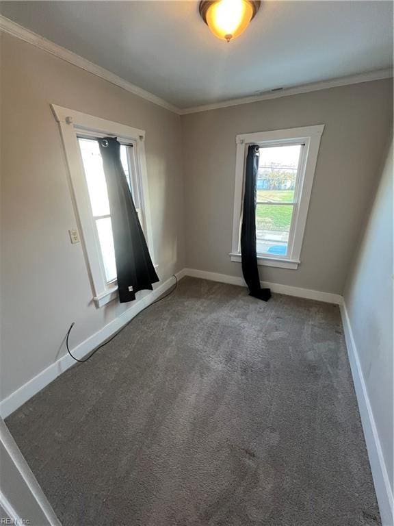 carpeted spare room featuring a wealth of natural light and ornamental molding