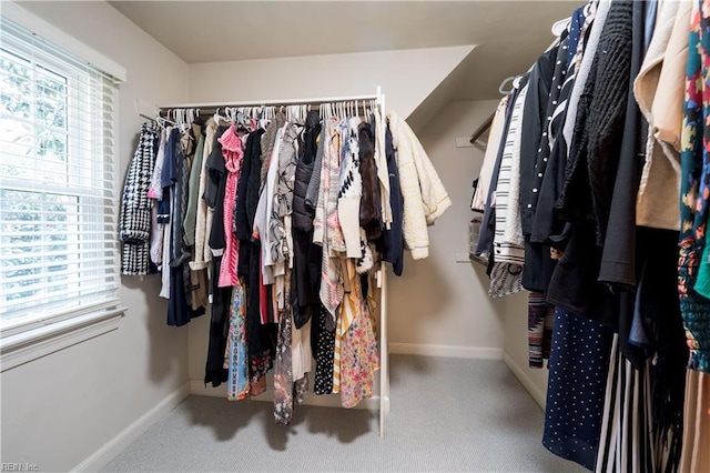 walk in closet with carpet floors