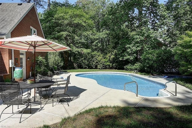 view of pool featuring a patio