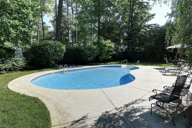 view of pool featuring a patio area