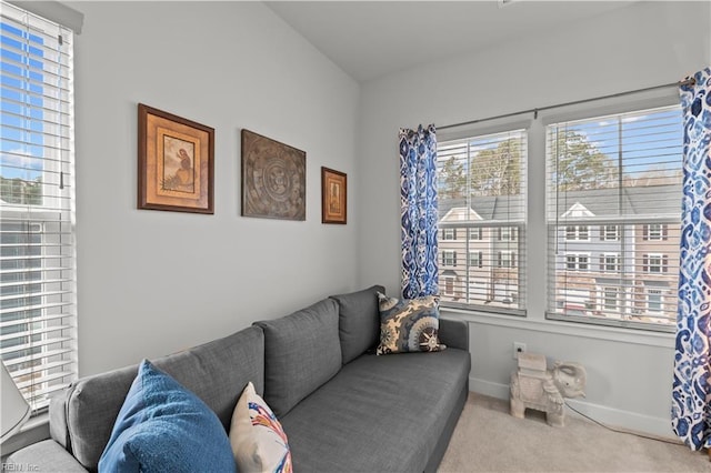 view of carpeted living room