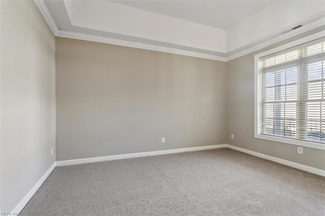 carpeted spare room with a raised ceiling