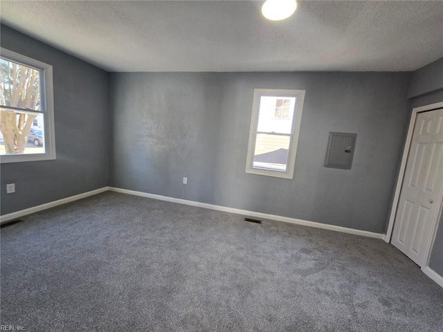 unfurnished room with a wealth of natural light, carpet flooring, a textured ceiling, and electric panel