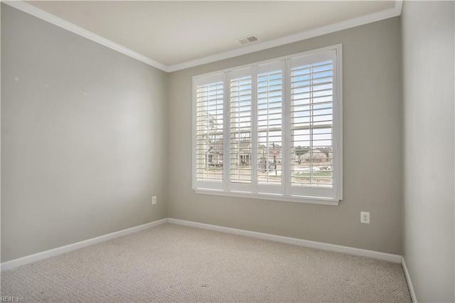 empty room featuring carpet and ornamental molding