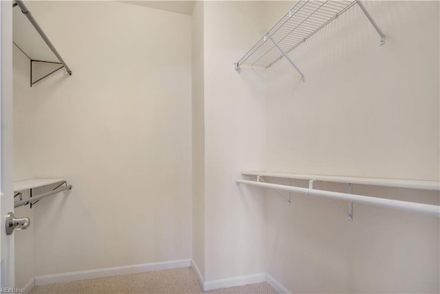 walk in closet with light colored carpet