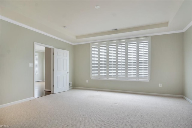 spare room with a raised ceiling, carpet, and ornamental molding