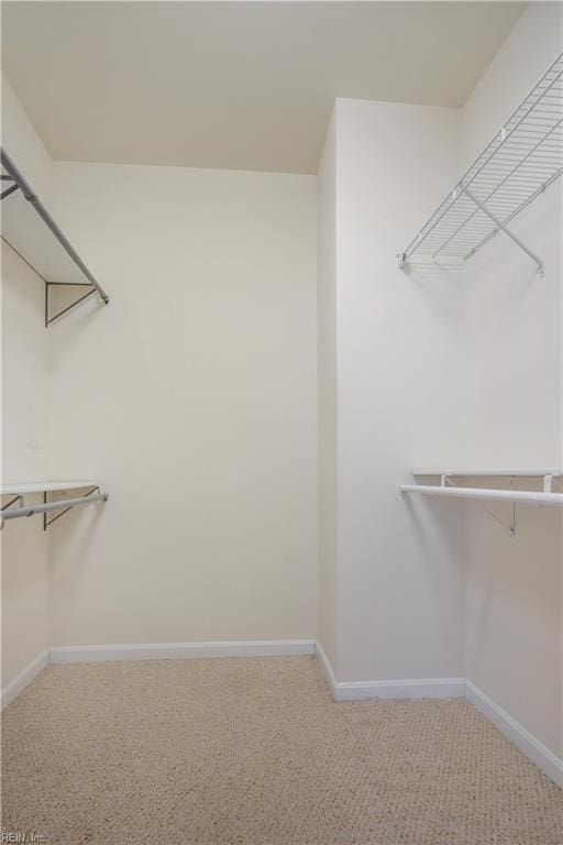 walk in closet with carpet