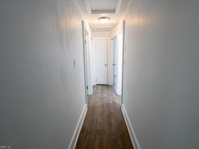 hallway with dark hardwood / wood-style flooring