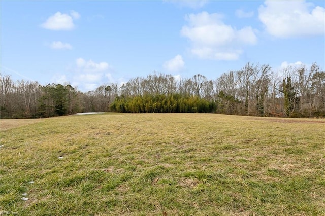 view of yard with a rural view