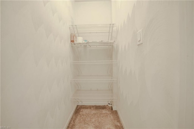 spacious closet featuring light colored carpet