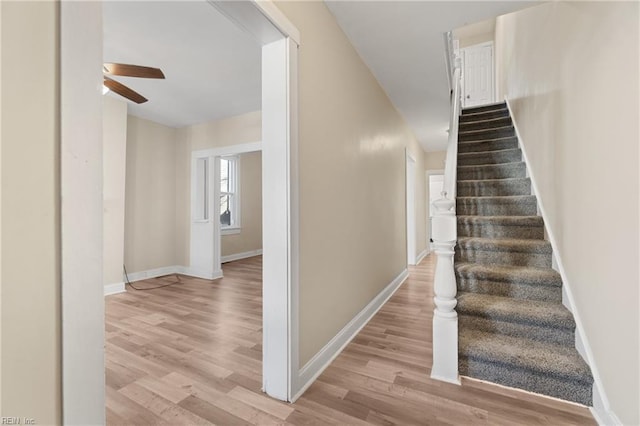 staircase featuring ceiling fan and wood-type flooring