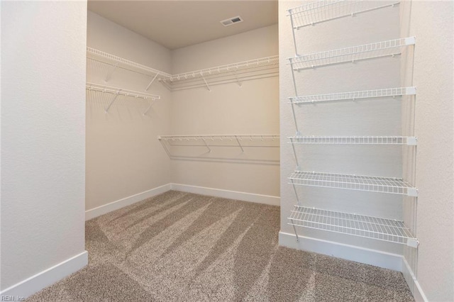 spacious closet with carpet