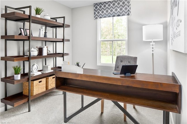 carpeted office space with a wealth of natural light