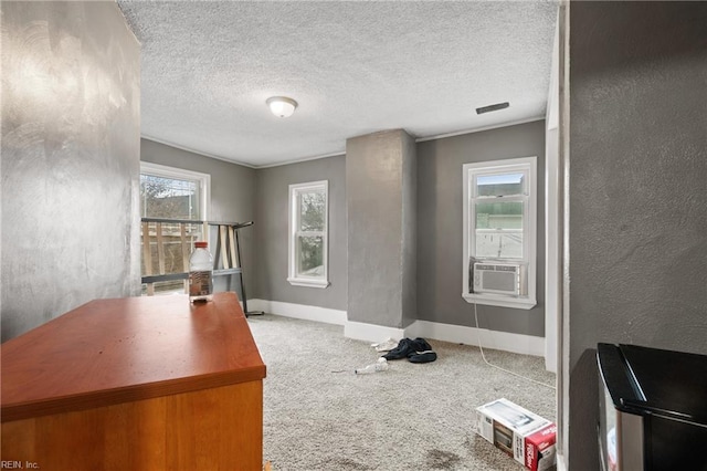 home office with carpet, plenty of natural light, and a textured ceiling