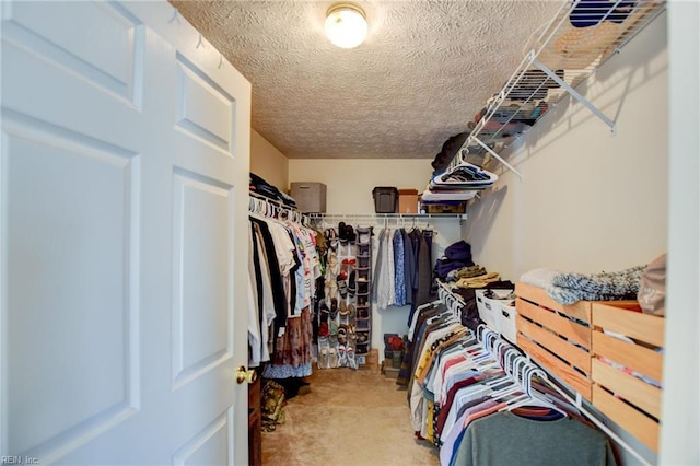 spacious closet featuring carpet floors