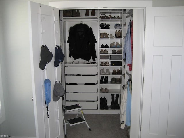 view of closet